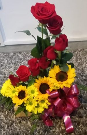 Espiral girasol Mini R09