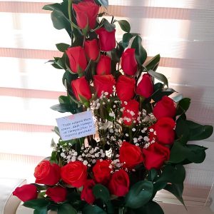 Medialuna sencilla en rosas R149