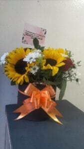 Girasoles R27